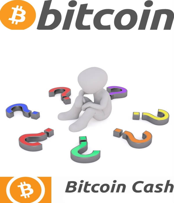 Bitcoin o Bitcoin Cash?